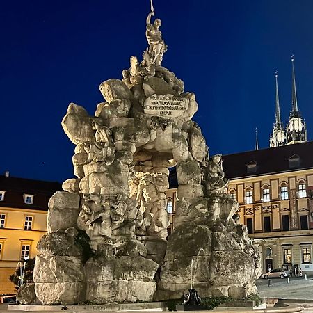 Apartman Se Saunou A Terasou S Vyhledem Na Brno Dış mekan fotoğraf