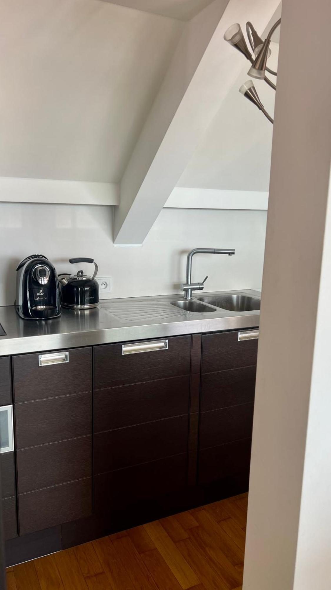 Apartman Se Saunou A Terasou S Vyhledem Na Brno Dış mekan fotoğraf