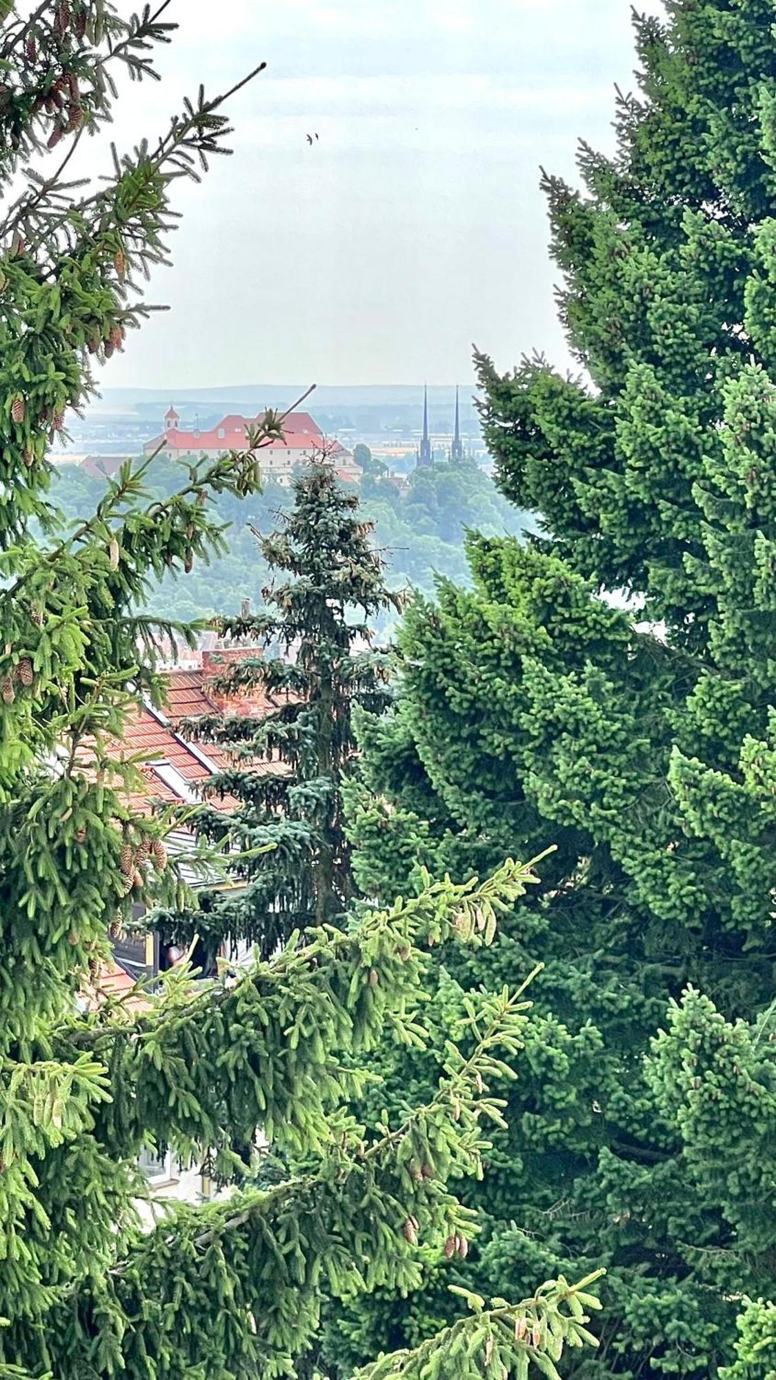 Apartman Se Saunou A Terasou S Vyhledem Na Brno Dış mekan fotoğraf