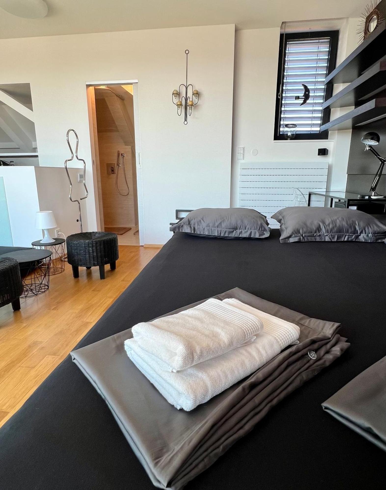 Apartman Se Saunou A Terasou S Vyhledem Na Brno Dış mekan fotoğraf