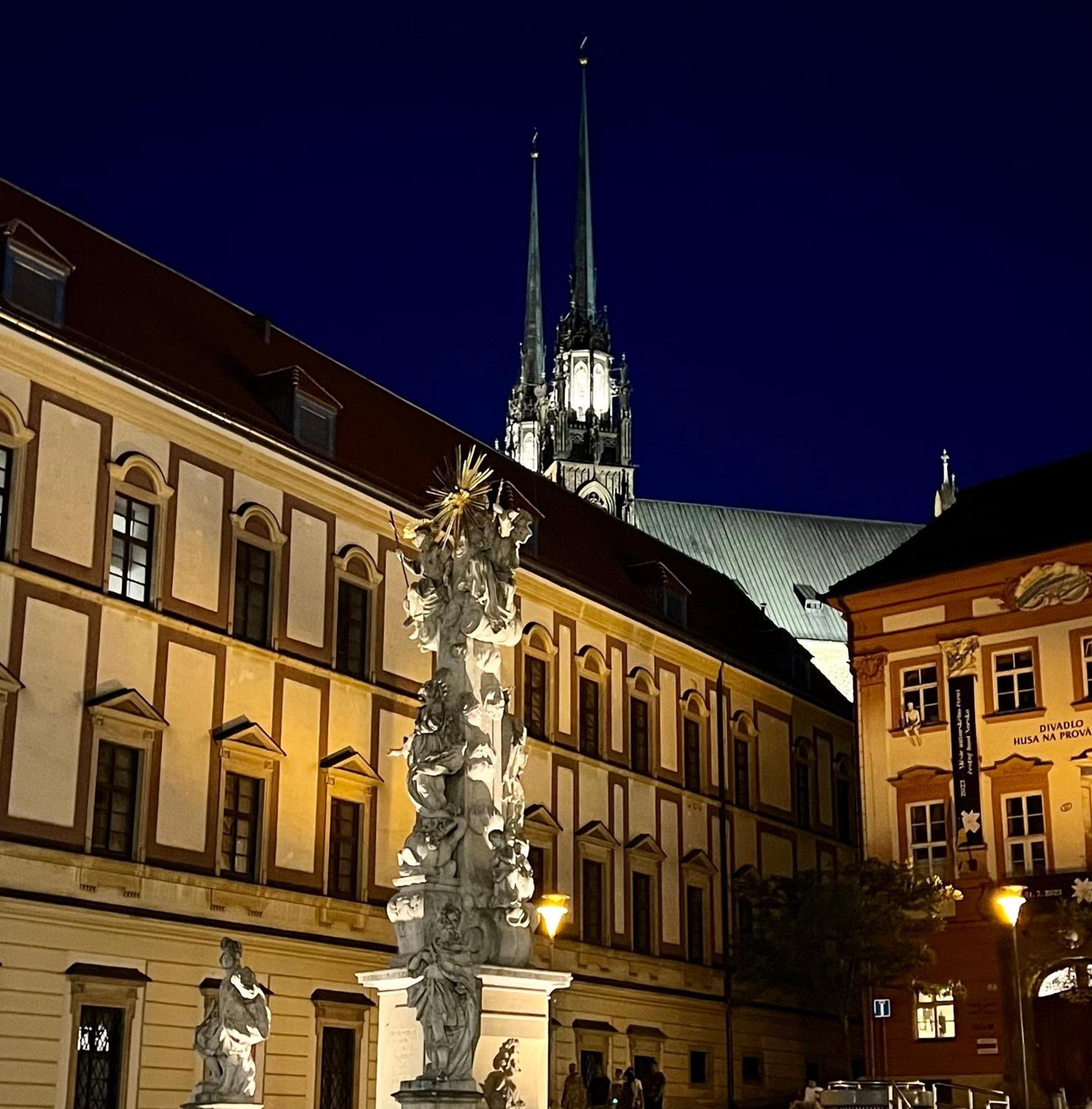 Apartman Se Saunou A Terasou S Vyhledem Na Brno Dış mekan fotoğraf